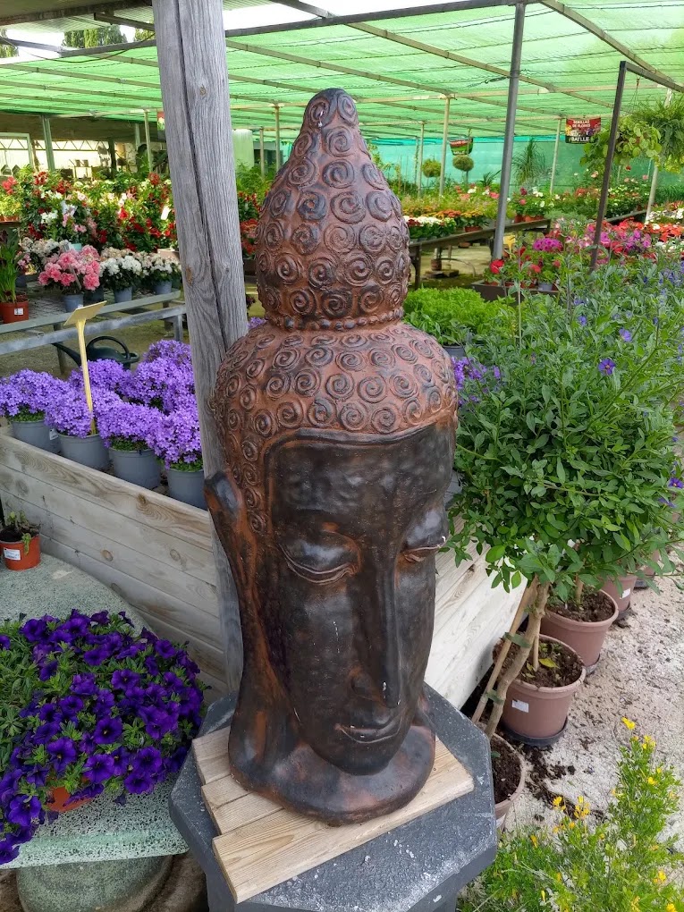 Planta del vivero Jardinería Adrover