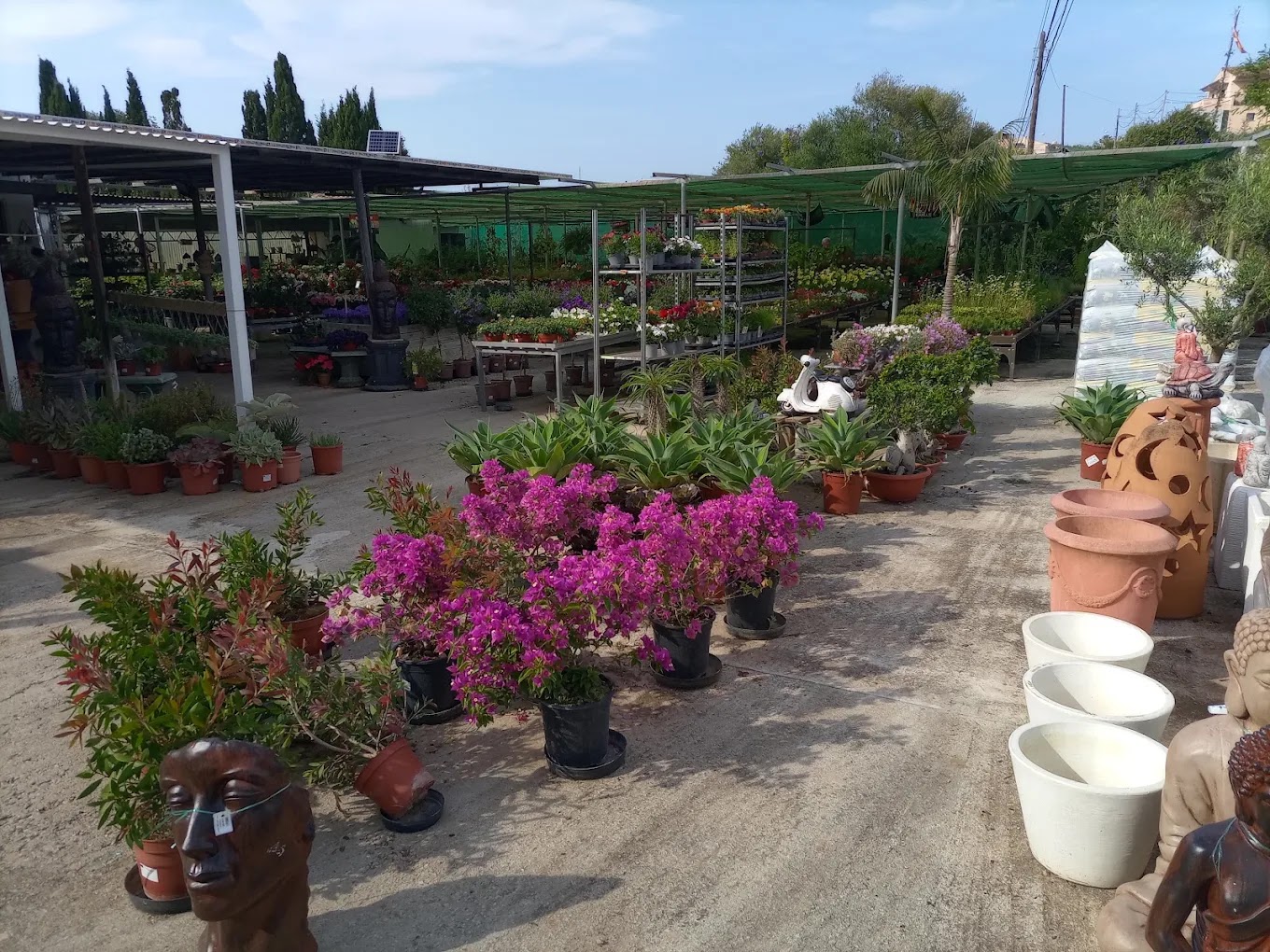 Jardinería Adrover